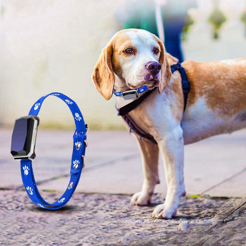 GPS Pet Tracking Collar for Dogs & Cats